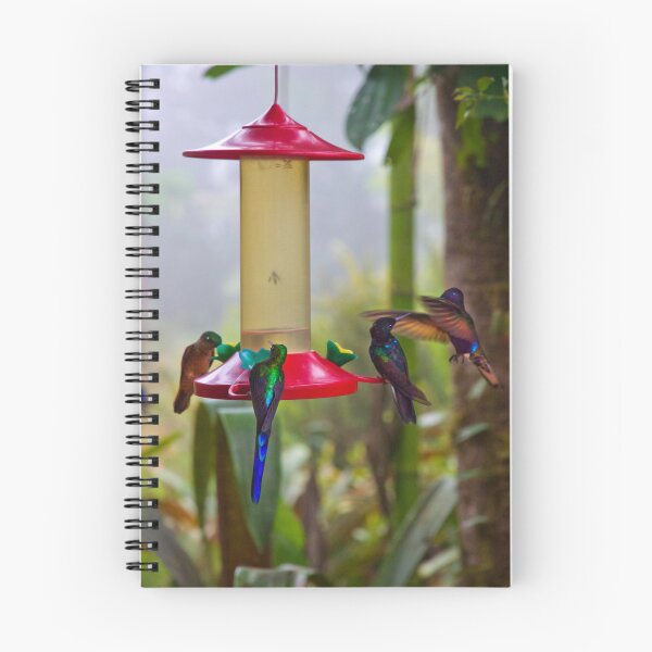 Item preview, Four Species Of Hummingbirds In Mindo Ecudor designed and sold by alabca.
