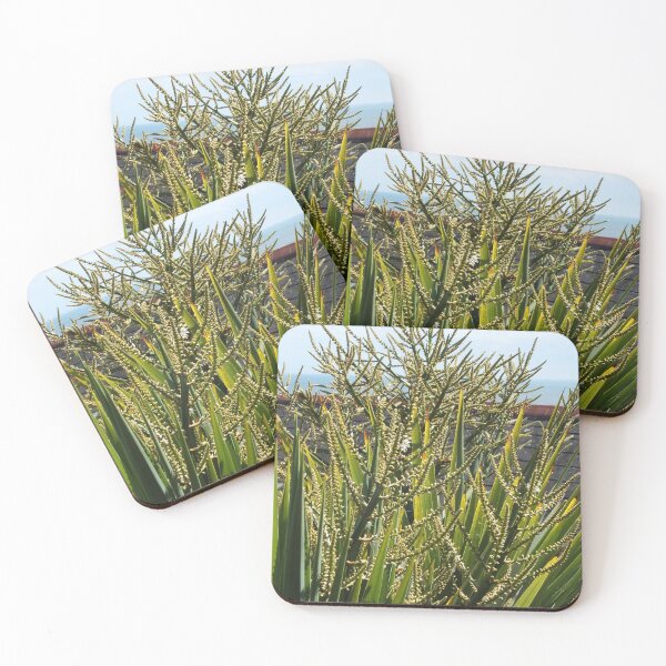 Item preview, Spiky Green Plant designed and sold by pinkal.