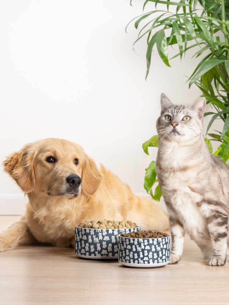 Alternate view of Westie Pet Bowl