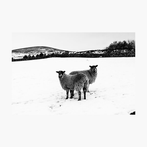 Snow Landscape 2, Ribblesdale. Photograph by Nobs Norbury Photographic Print