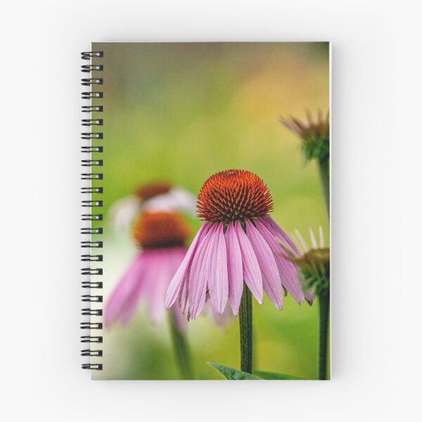 Item preview, Purple Cone Flower designed and sold by Michael Cummings.