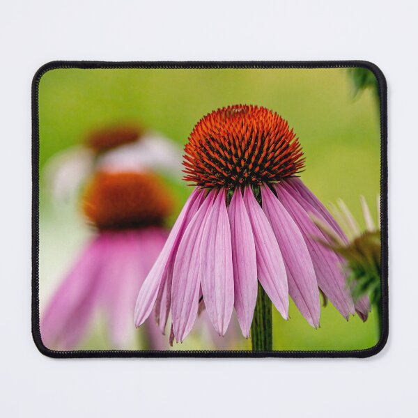 Item preview, Purple Cone Flower designed and sold by Michael Cummings.