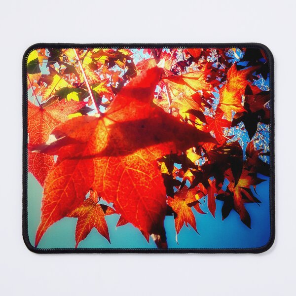 Item preview, Autumnal Hues Autumn Colors Orange Red Yellow Leaves with Blue Sky designed and sold by Beachy.