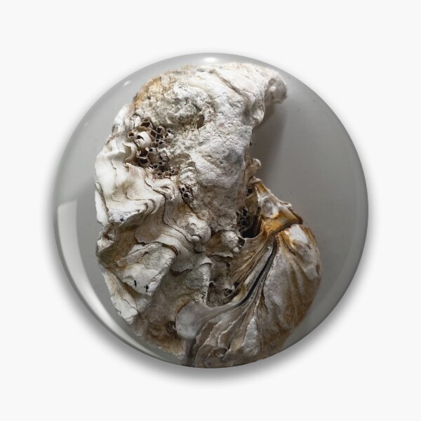Item preview, Oyster Shell: Shelly designed and sold by The Aloof.