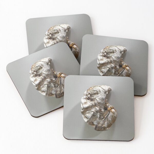 Item preview, Oyster Shell: Shelly designed and sold by The Aloof.