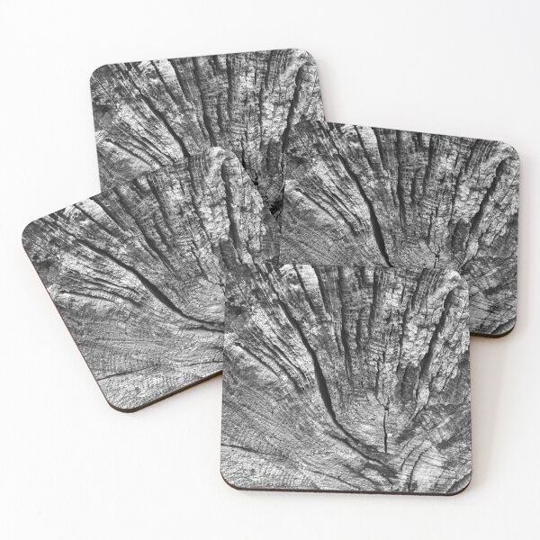 Item preview, Old felled tree trunk. designed and sold by SallyHammond.