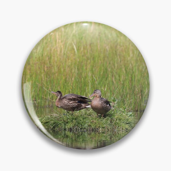 Item preview, Wild duck island designed and sold by zumi.