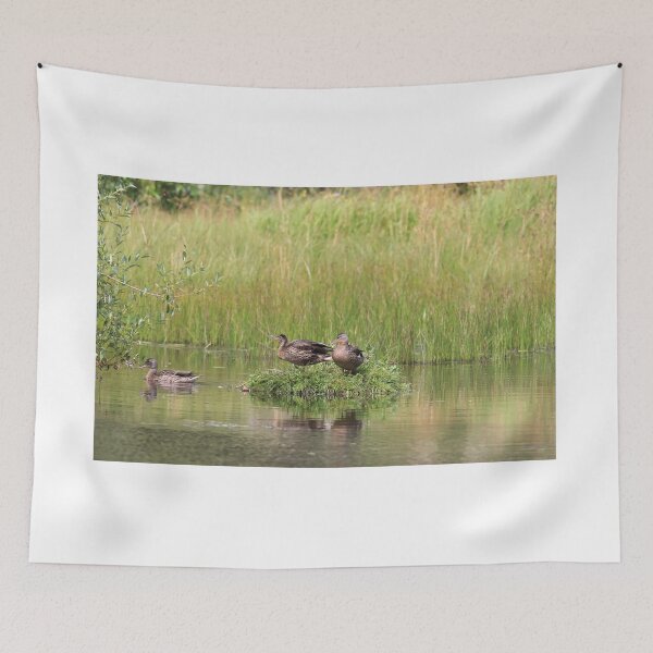 Item preview, Wild duck island designed and sold by zumi.