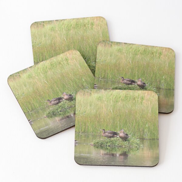 Item preview, Wild duck island designed and sold by zumi.