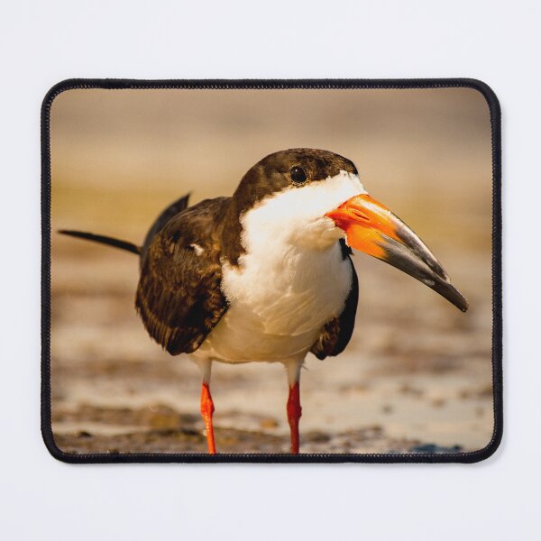 Item preview, Skimmer In The Mud Flats designed and sold by BowToe.