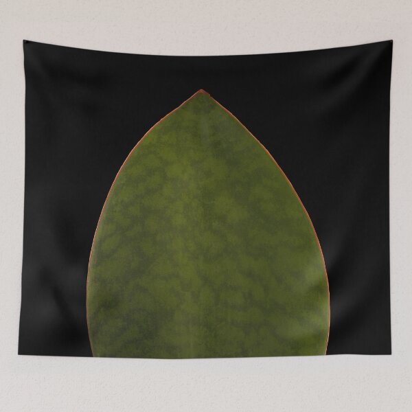 Item preview, Sansevieria Snakeplant Masoniana Whale Fin Macro designed and sold by plantsbutbetter.