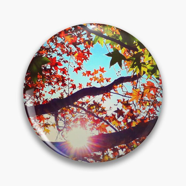 Item preview, Autumn Leaves Dark Tree Branches Sunshine Sunlit Glowing Leaves designed and sold by Beachy.