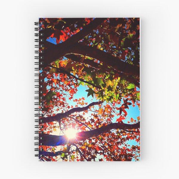 Item preview, Autumn Leaves Dark Tree Branches Sunshine Sunlit Glowing Leaves designed and sold by Beachy.
