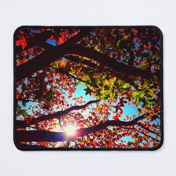 Item preview, Autumn Leaves Dark Tree Branches Sunshine Sunlit Glowing Leaves designed and sold by Beachy.