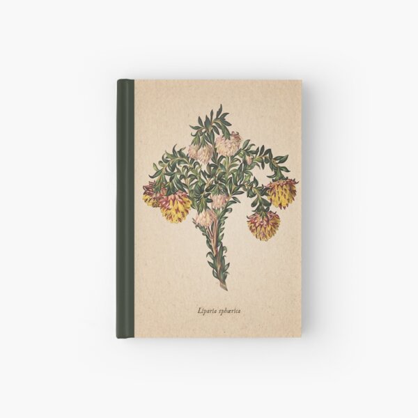 Placa vieja de Liparia sphaerica Cuaderno de tapa dura