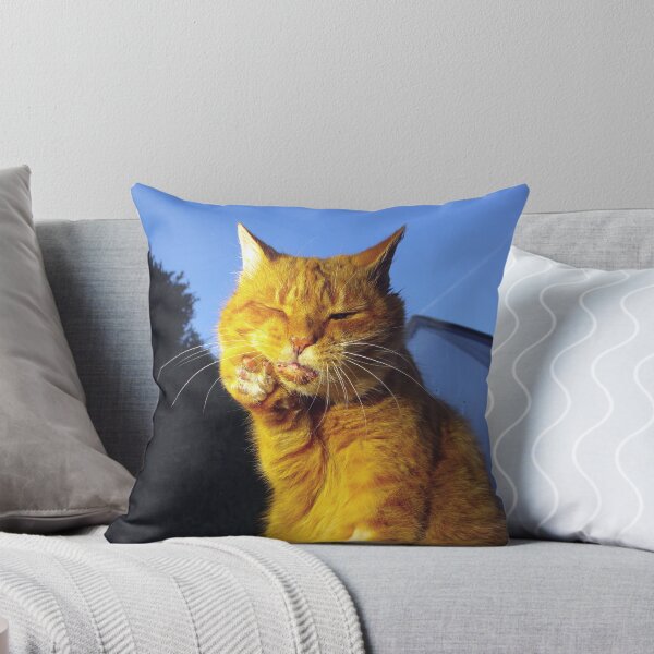 Item preview, Ginger cat with toothache designed and sold by turniptowers.