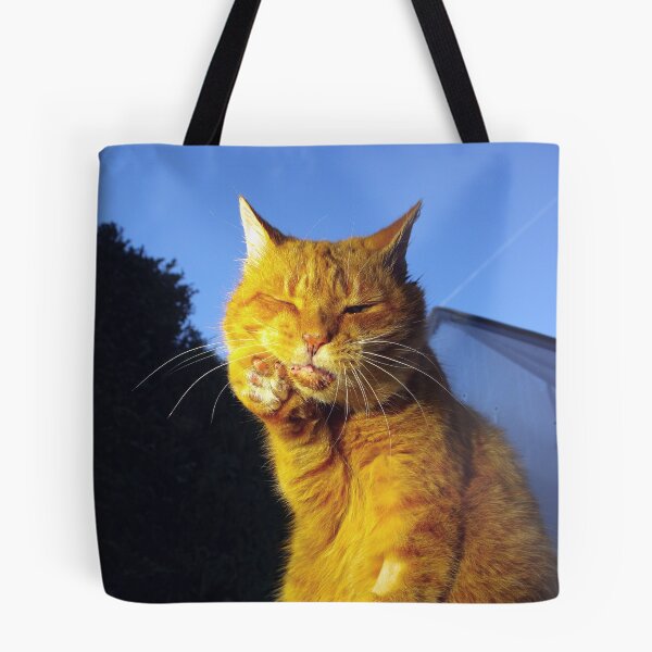 Item preview, Ginger cat with toothache designed and sold by turniptowers.