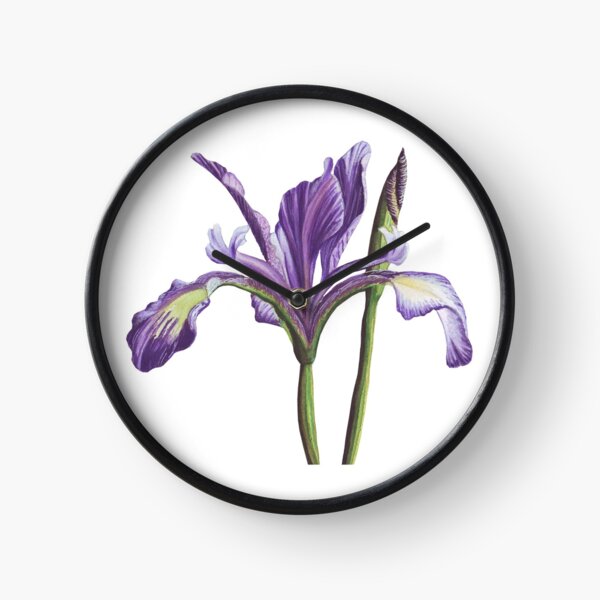 Purple Iris flower in watercolor Clock