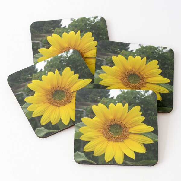 Item preview, Sunflower 1 designed and sold by Pontom46.
