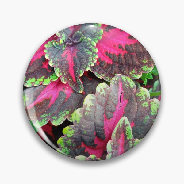 Item preview, Special Flower designed and sold by Dreammkd.