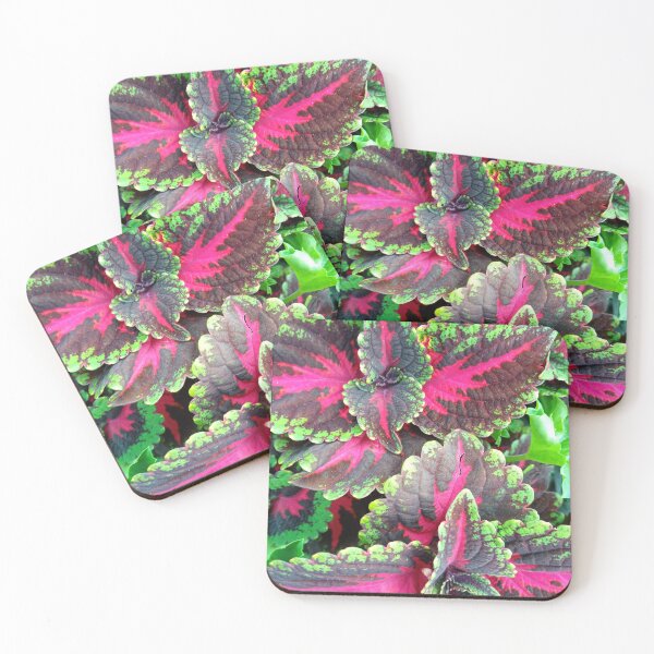 Item preview, Special Flower designed and sold by Dreammkd.