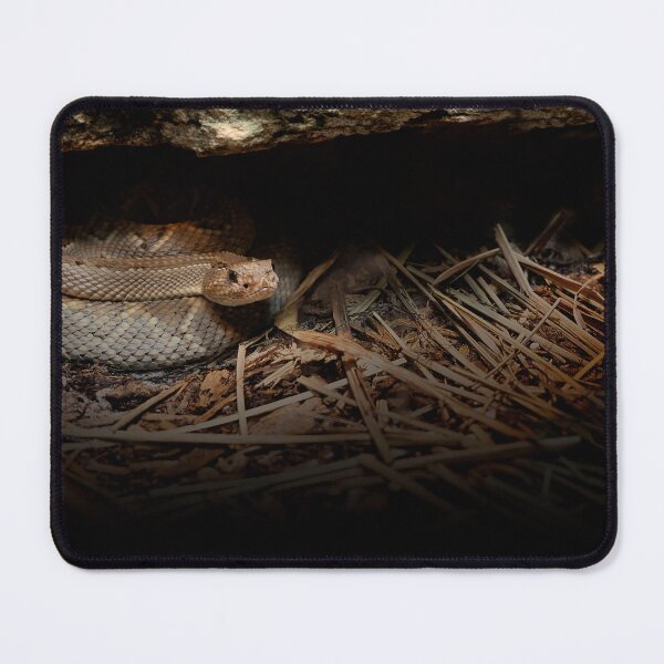 Item preview, Rattler Den designed and sold by KbytesOfJax Outdoor and Nature.