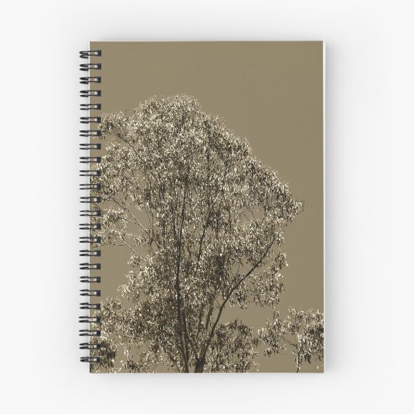Item preview, photo effect  designed and sold by Jodie Cooper.