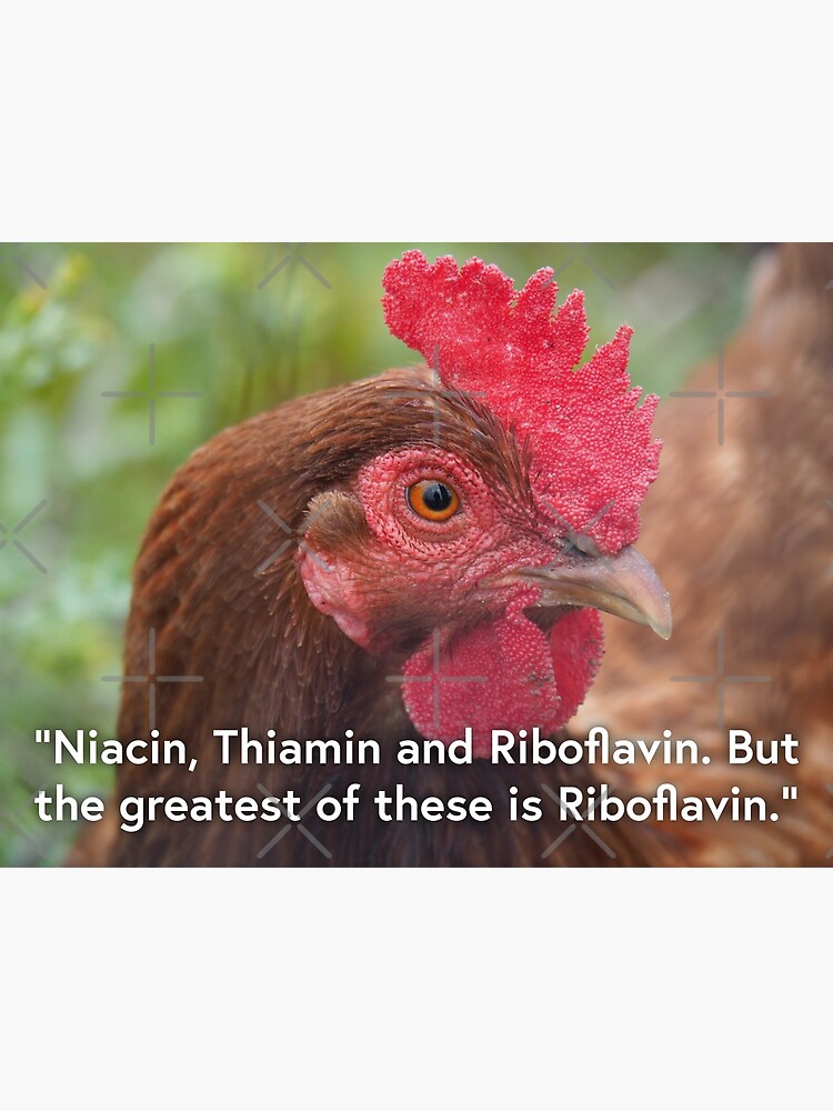 Thumbnail 3 of 3, Poster, NDVH Niacin, Thiamin and Riboflavin. But the greatest of these is Riboflavin. designed and sold by nikhorne.