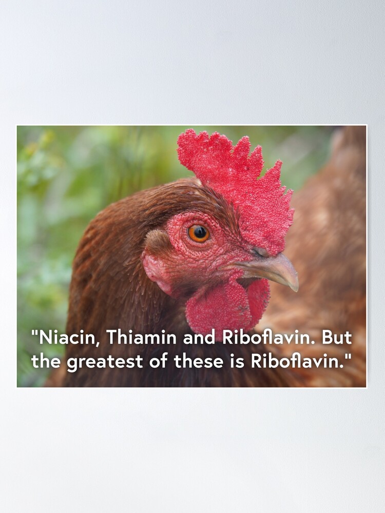 Thumbnail 2 of 3, Poster, NDVH Niacin, Thiamin and Riboflavin. But the greatest of these is Riboflavin. designed and sold by nikhorne.
