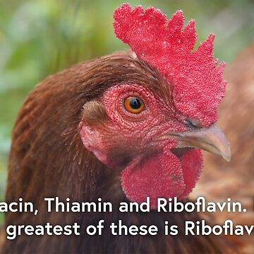 Artwork thumbnail, NDVH Niacin, Thiamin and Riboflavin. But the greatest of these is Riboflavin. by nikhorne