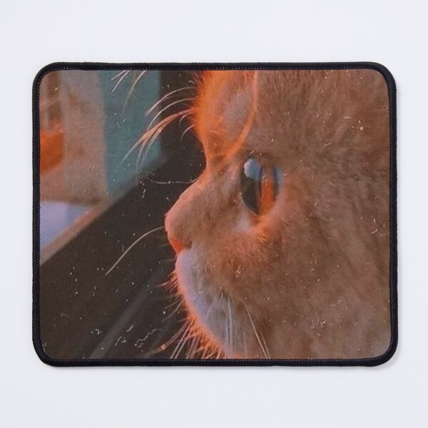 Item preview, cute cat designed and sold by YAZEEDBASH.