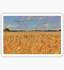Summer Crop Sticker