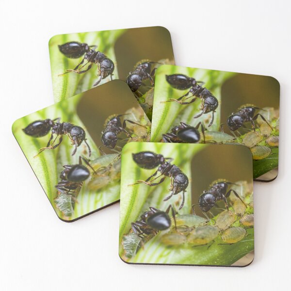 Item preview, Ants Farming Aphids for Honeydew designed and sold by AronsTinySafari.
