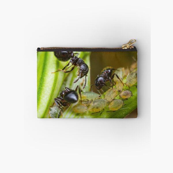 Item preview, Ants Farming Aphids for Honeydew designed and sold by AronsTinySafari.