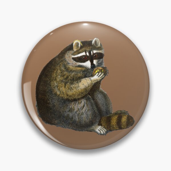 Item preview, Raccoon eating fruit designed and sold by Lacebark.