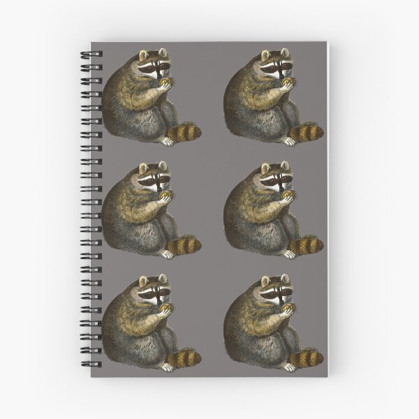 Item preview, Raccoon eating fruit designed and sold by Lacebark.