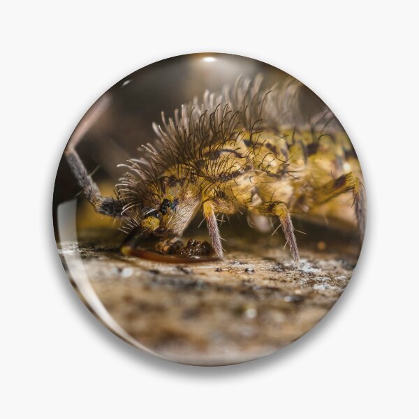 Item preview, Springtail - Snowflea - Collembola designed and sold by AronsTinySafari.