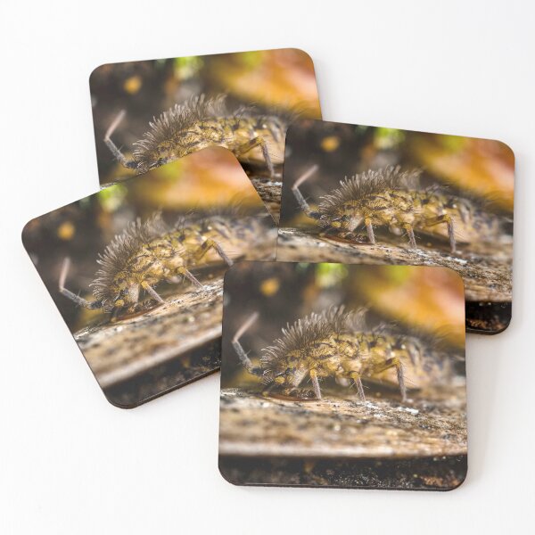 Item preview, Springtail - Snowflea - Collembola designed and sold by AronsTinySafari.
