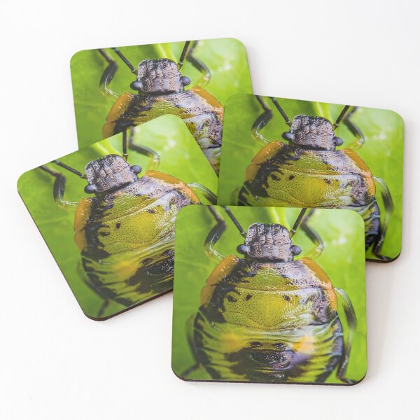 Item preview, Green Stink Bug Nymph - Chinavia Hilaris designed and sold by AronsTinySafari.
