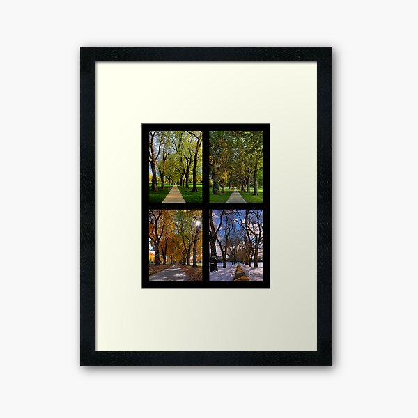 The Four Seasons at Colorado State University's Oval Framed Art Print