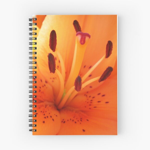 Item preview, Orange Lily designed and sold by BeeGarland.