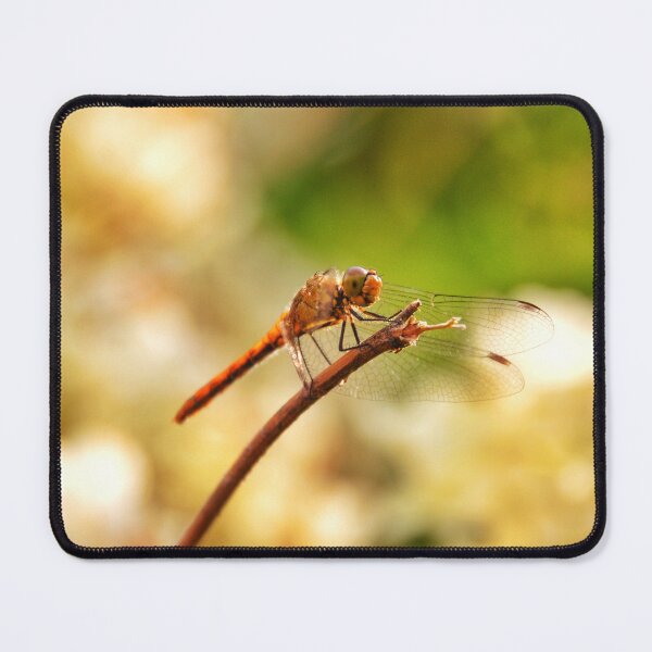 Item preview, Dragonfly designed and sold by AriusLT.