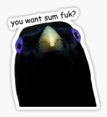You Want Sum Fuk? Sticker