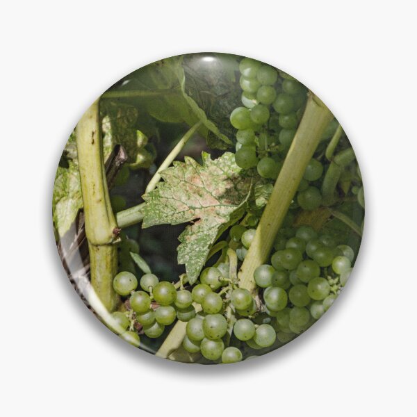 Item preview, Wine to Be designed and sold by Gerda Grice Photography.
