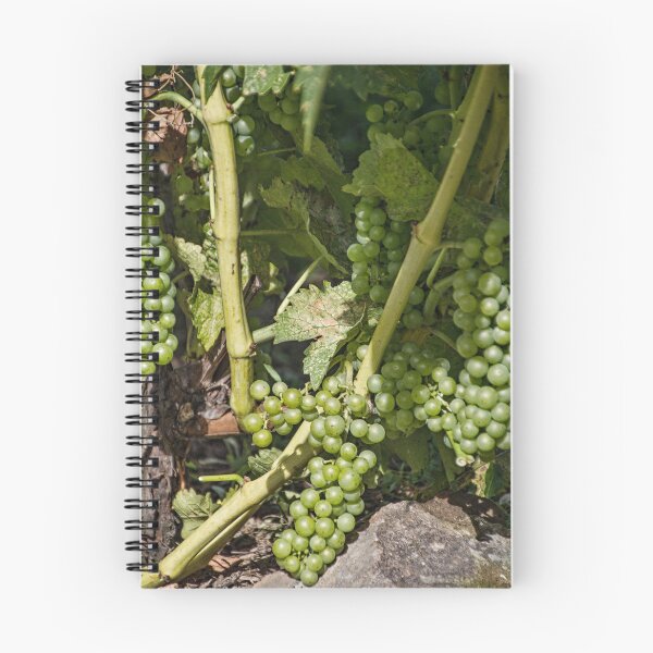 Artikelvorschau, Wein zum Sein entworfen und verkauft von Gerda Grice Photography.