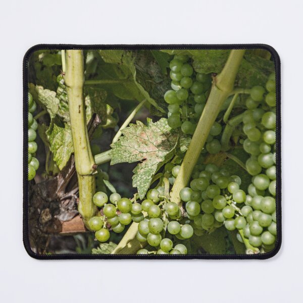Item preview, Wine to Be designed and sold by Gerda Grice Photography.