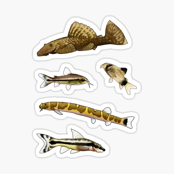 Aquarium Cleaners Stickers for Sale