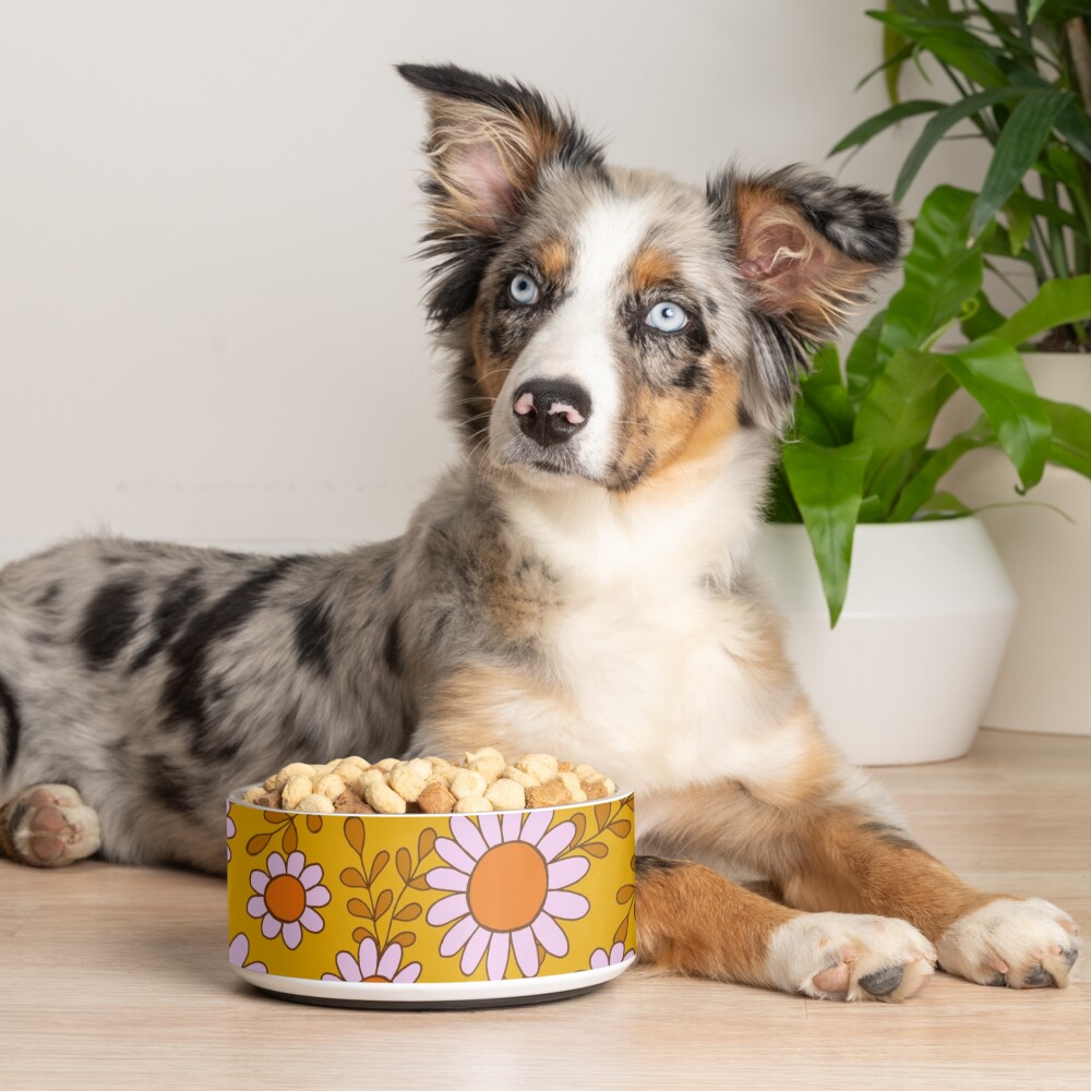 Item preview, Pet Bowl designed and sold by natalisapattern.