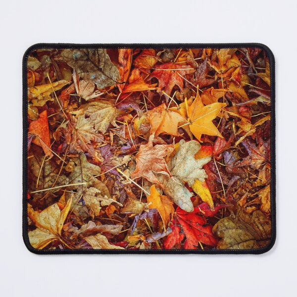 Item preview, Fallen Leaves in Autumn - Autumn Leaf Colors Variety - Warm Tones designed and sold by Beachy.