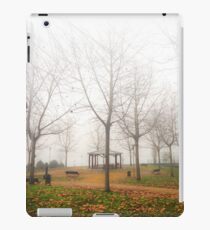 Invierno nebuloso iPad Case/Skin